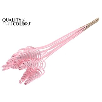 QC Palmspirale auf Stiel | Farbe: Hellrosa | Cane Cone Steckstab | Länge Steckstab ± 50 Zentimeter | Pro 10 Steckstäbe
