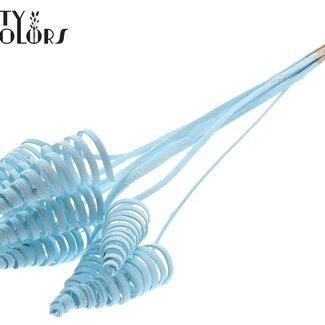 QC Palm Spirale sur tige | Couleur : Bleu clair | Cône de canne Piquet | Longueur du piquet ± 50 centimètres | Par 10 piquets