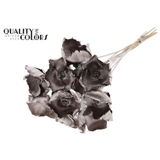 QC Dried Palm Cup on stem | Colour: Champagne | Length ± 50 centimetres | 10 stems per bunch