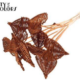 QC Rattan Lata Heart on stick | Colour: Terracotta | Lata Heart flat Plant Stick | Diameter 8 centimetres | Length ± 50 centimetres | 10 plant sticks per bunch