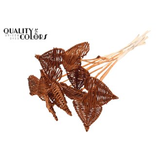 QC Cœur en rotin Lata sur tige | Couleur : Terracotta | Pique-plat Lata Heart | Diamètre 8 centimètres | Longueur ± 50 centimètres | 10 piques par bouquet