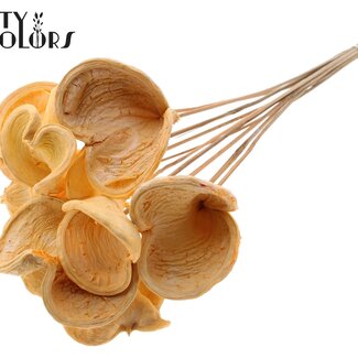 QC Bleached Badam on stick | Colour: Salmon-coloured | Length of stick approx. 50 centimetres | 10 sticks per bunch