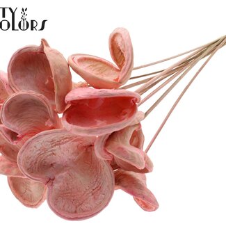 QC Bleached Badam on stick | Colour: Light pink | Length of stick approximately 50 centimetres | 10 sticks per bunch