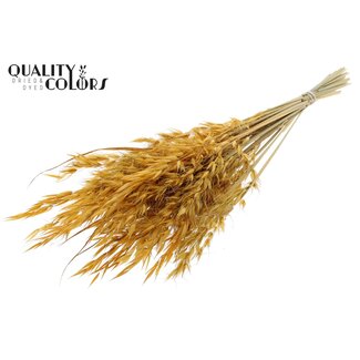 QC Gedroogde Wilde Haver | Kleur: Abrikooskleurig | Wilde Avena Droogbloemen | Lengte ± 70 centimeter | Gewicht 100 gram | Per bos
