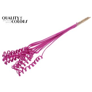 QC Palm Spiral on Stem | Colour: Cherry-coloured | Cane Cone Plant Stake | Stake Length ± 50 centimetres | Per 10 stakes