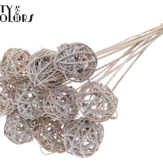 QC Rattan Kugel auf Stab | Farbe: Frosted Weiß | Bruce Ball Stecker | Durchmesser 5 Zentimeter | Länge ± 50 Zentimeter | 10 Stecker pro Bund