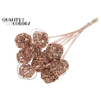 QC Rattan Ball on Stick | Colour: Copper | Bruce Ball Stake | Diameter 5 centimetres | Length ± 50 centimetres | 10 stakes per bunch