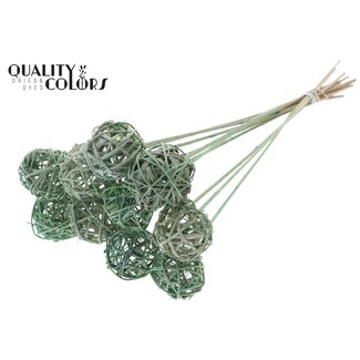 QC Rotan Bal op stok | Kleur: Frosted Mintgroen | Bruce Ball Bijsteker | Diameter 5 centimeter | Lengte ± 50 centimeter | 10 bijstekers per bos