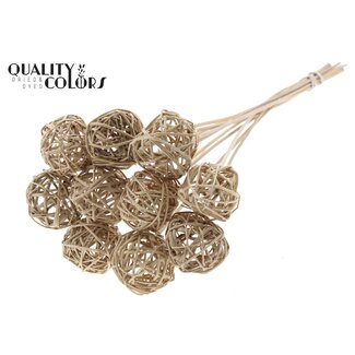 QC Rattan Ball on Stick | Colour: Natural Light Brown | Bruce Ball Stick | Diameter 5 centimetres | Length ± 50 centimetres | 10 sticks per bunch
