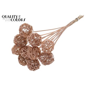 QC Rattan Ball on Stick | Colour: Frosted Salmon | Bruce Ball Stake | Diameter 5 centimetres | Length ± 50 centimetres | 10 stakes per bunch