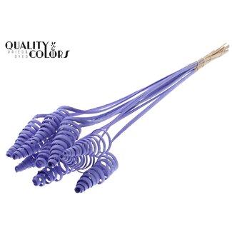 QC Palm Spiral on Stem | Colour: Milka Purple | Cane Cone Plant Stake | Stake Length ± 50 centimetres | Per 10 stakes