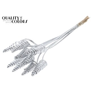 QC Palm Spiral on Stem | Colour: Silver | Cane Cone Plant Stake | Stake Length ± 50 centimetres | Per 10 stakes