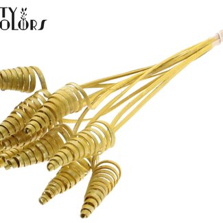 QC Palm Spiral on Stem | Colour: Metallic Yellow | Cane Cone Plant Stake | Stake Length ± 50 centimetres | Per 10 stakes
