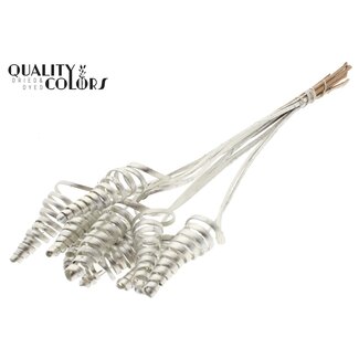 QC Palm Spiral on Stem | Colour: Platinum | Cane Cone Plant Stake | Stake Length ± 50 centimetres | Per 10 stakes