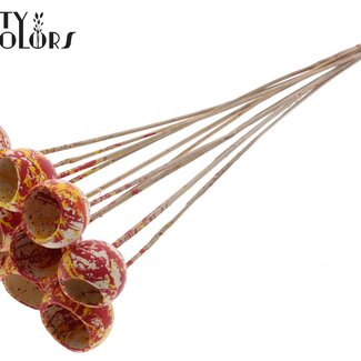 QC Dried Bellgums | Colour: Multicoloured Red Yellow | Bell Cup Pick | Length ± 50 centimetres | 10 picks per bunch