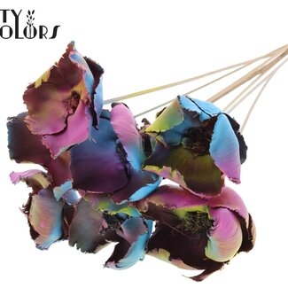 QC Palm Cup séchée sur tige | Mélange Ibiza | Couleur : Couleurs mélangées | Longueur ± 50 centimètres | 10 tiges par bouquet