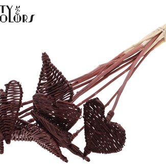 QC Rotan Lata Hart op stok | Kleur: Bruin | Lata Heart platte Bijsteker | Diameter 8 centimeter | Lengte ± 50 centimeter | 10 bijstekers per bos
