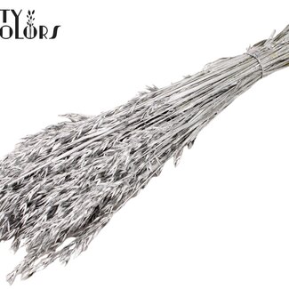 QC Avoine Séchée | Couleur : Argenté | Fleurs Séchées d'Avena | Longueur ± 60 centimètres | Poids 250 grammes | Par bouquet