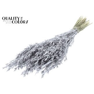 QC Dried Oats | Colour: Silver with Glitter | Avena Dried Flowers | Length ± 60 centimetres | Weight 250 grams | Per bunch