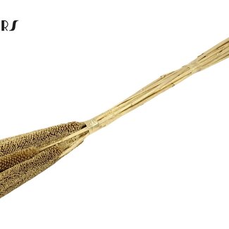 QC Babala of Pearl Millet | Colour: Golden | Length ± 65 centimetres | 10 stems per bunch | Per bunch