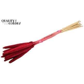 QC Babala aus Perlhirse | Farbe: Kirschfarben | Länge ± 65 Zentimeter | 10 Stiele pro Bund | Pro Bund