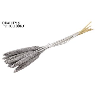 QC Babala of Parelgierst | Kleur: Zilverkleurig met Glitter | Lengte ± 65 centimeter | 10 stelen per bos | Per bos