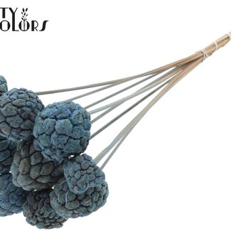 QC Bleached Atta Fruit on stick | Colour: Frosted Light Blue | Custard Apple Pick | Length ± 50 centimetres | 10 picks per bunch