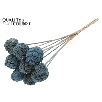 QC Bleached Atta Fruit on stick | Colour: Frosted Light Blue | Custard Apple Pick | Length ± 50 centimetres | 10 picks per bunch