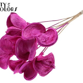 QC Badam blanchi sur tige | Couleur : Lilas | Longueur du pique-fleur ± 50 centimètres | 10 piques-fleurs par bouquet