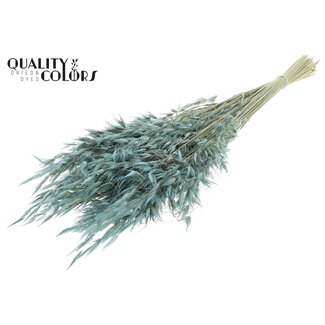 QC Gedroogde Wilde Haver | Kleur: Frosted Lichtblauw | Wilde Avena Droogbloemen | Lengte ± 70 centimeter | Gewicht 100 gram | Per bos
