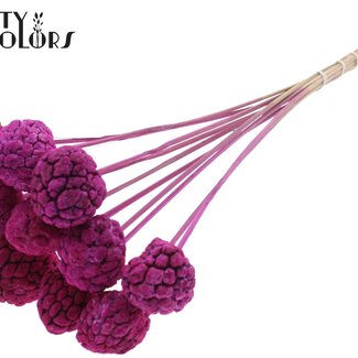 QC Bleached Atta Fruit on stick | Colour: Lilac | Custard Apple Pick | Length ± 50 centimetres | 10 picks per bunch