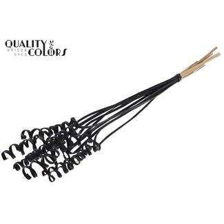 QC Palm Spiral on Stem | Colour: Black | Cane Cone Plant Stake | Stake Length ± 50 centimetres | Per 10 stakes