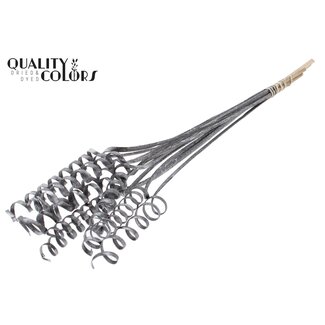 QC Palm Spiral on Stem | Colour: Grey Metallic Graphite | Cane Cone Plant Stake | Stake Length ± 50 centimetres | Per 10 stakes