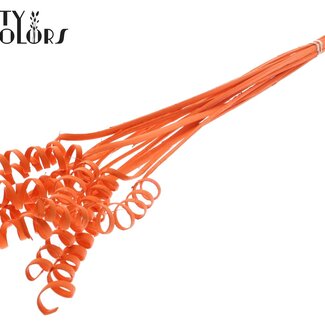 QC Palm Spirale sur tige | Couleur : Orange | Pique en forme de cône de canne | Longueur du pique ± 50 centimètres | Par 10 piques