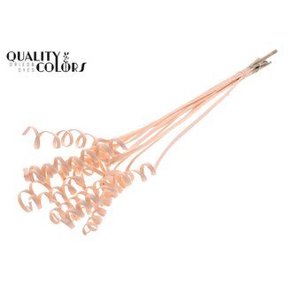 QC Palm Spiral on Stem | Colour: Apricot | Cane Cone Plant Stake | Plant Stake Length ± 50 centimetres | Per 10 plant stakes