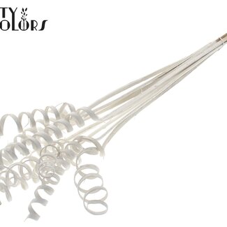 QC Palm Spirale sur tige | Couleur : Blanc | Cane Cone Piquet | Longueur du piquet ± 50 centimètres | Par 10 piquets
