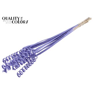 QC Palm Spiral on Stem | Colour: Metallic Purple | Cane Cone Plant Stake | Stake Length ± 50 centimetres | Per 10 stakes