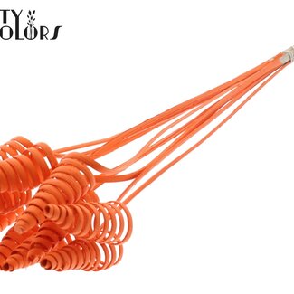 QC Palmspirale auf Stiel | Farbe: Orange | Cane Cone Steckstab | Länge des Steckstabs ± 50 Zentimeter | Pro 10 Steckstäbe