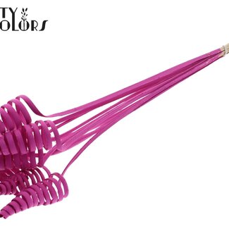 QC Palm Spirale sur tige | Couleur : Cerise | Cône de Canne Piquet | Longueur du piquet ± 50 centimètres | Par 10 piquets