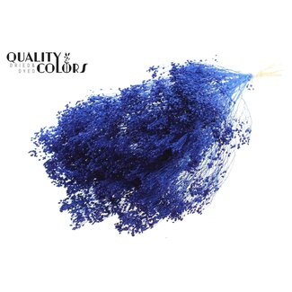 QC Gebleekte Gedroogde Broom Bloom | Kleur: Blauw | Brem Droogbloemen | Lengte ± 50 centimeter | Gewicht 100 gram | Per bos
