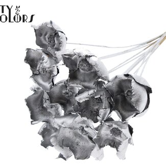 QC Getrocknete Palm Cup auf Stiel | Farbe: Silberfarben | Länge ± 50 Zentimeter | 10 Stiele pro Bund