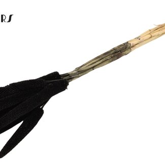 QC Babala von Perlhirse | Farbe: Schwarz | Länge ± 65 Zentimeter | 10 Stiele pro Bund | Pro Bund