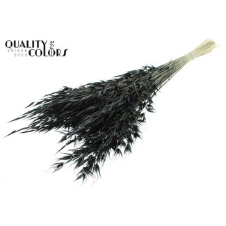 QC Gedroogde Wilde Haver | Kleur: Zwart | Wilde Avena Droogbloemen | Lengte ± 70 centimeter | Gewicht 100 gram | Per bos