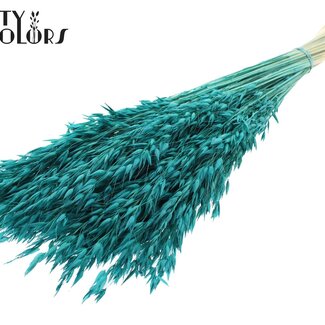 QC Gebleekte Gedroogde Haver | Kleur: Turquoise | Avena Droogbloemen | Lengte ± 60 centimeter | Gewicht 200 gram | Per bos