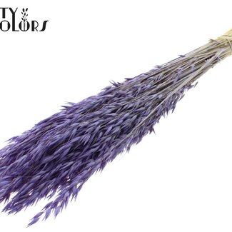 QC Gebleichter Getrockneter Hafer | Farbe: Frosted Milk Lila | Avena Trockenblumen | Länge ± 60 Zentimeter | Gewicht 200 Gramm | Pro Bund