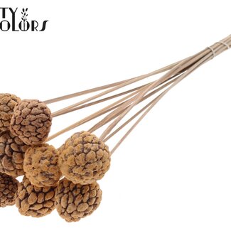 QC Bleached Atta Fruit on stick | Colour: Frosted Salmon | Custard Apple Pick | Length ± 50 centimetres | 10 picks per bunch