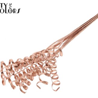 QC Palmspirale auf Stiel | Farbe: Kupferfarben | Cane Cone Pflanzstab | Länge des Pflanzstabs ± 50 Zentimeter | Pro 10 Pflanzstäbe