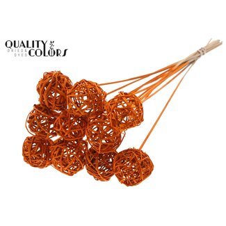 QC Rattan Ball on Stick | Colour: Orange | Bruce Ball Stake | Diameter 5 centimetres | Length ± 50 centimetres | 10 stakes per bunch