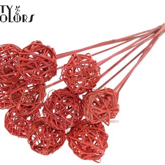 QC Rattan Ball on Stick | Colour: Coral | Bruce Ball Stake | Diameter 5 centimetres | Length ± 50 centimetres | 10 stakes per bunch