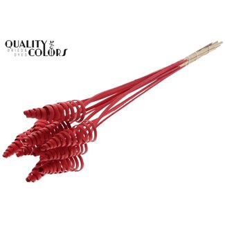 QC Palm Spiral on Stem | Colour: Red | Cane Cone Plant Stake | Stake Length ± 50 centimetres | Per 10 stakes